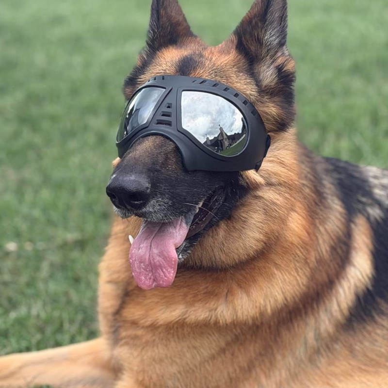 Snow Goggle Uv - Okulary dla psów średnich i dużych
