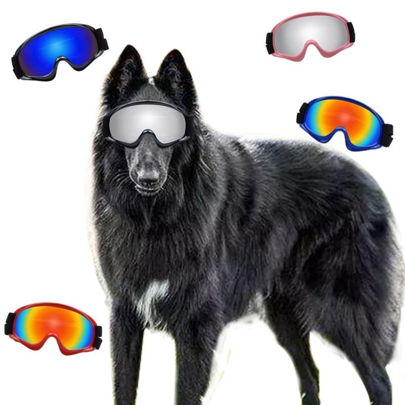 Produkty dla zwierząt: Okulary – Snow Goggle Uv recenzja i cena