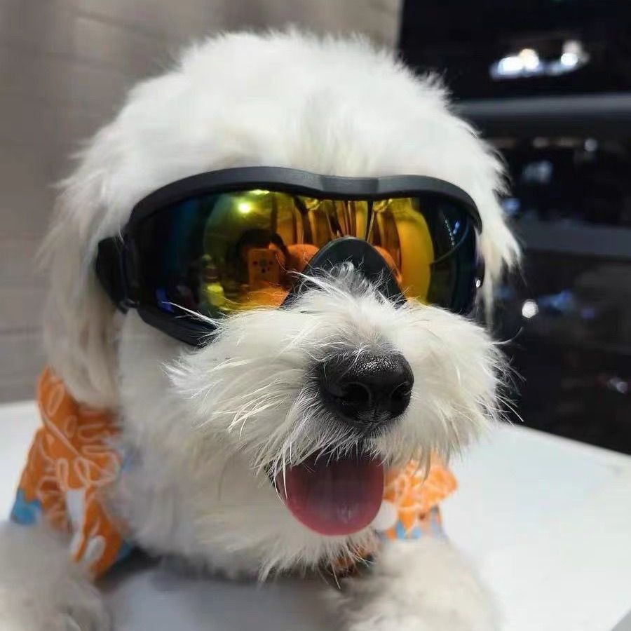 Regulowane okulary przeciwsłon – Snow Goggle Uv recenzja i cena
