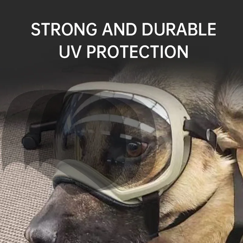 Okulary dla zwierząt zmieniają – Snow Goggle Uv recenzja i cena